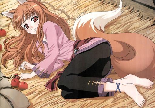 Обо всем - [Best Anime Cosplay] Подборка косплея Хоро (Spice and Wolf)